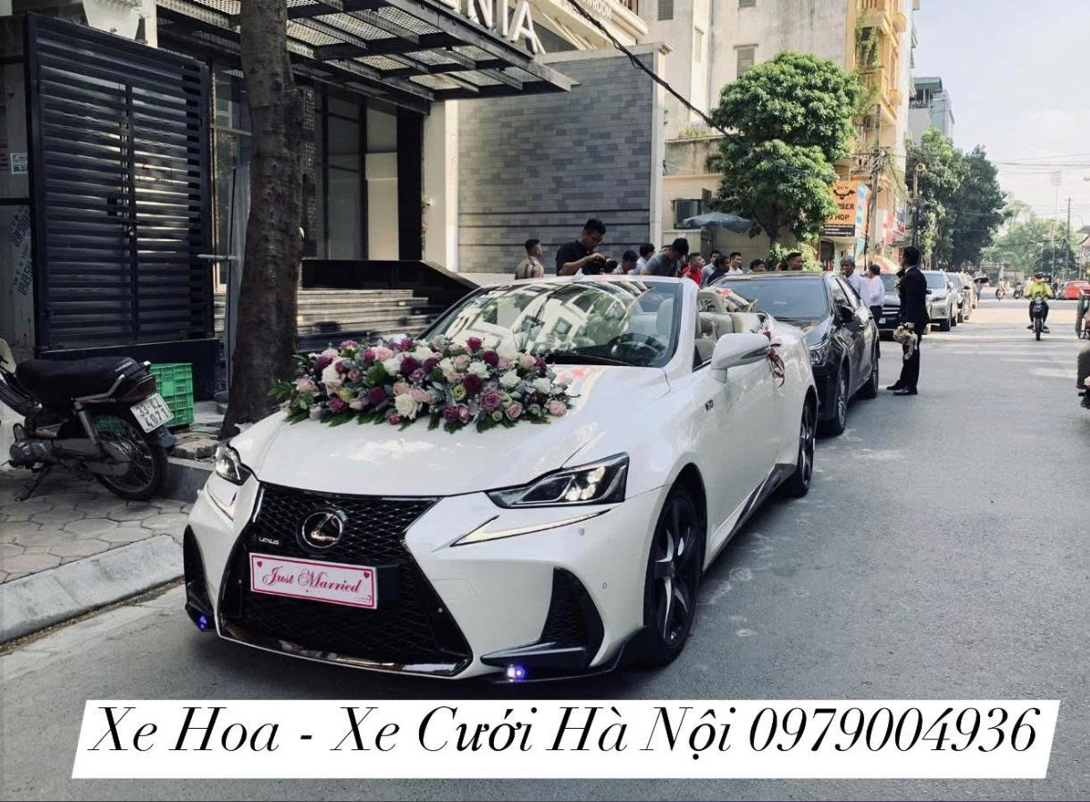 Lexus Mui Trần